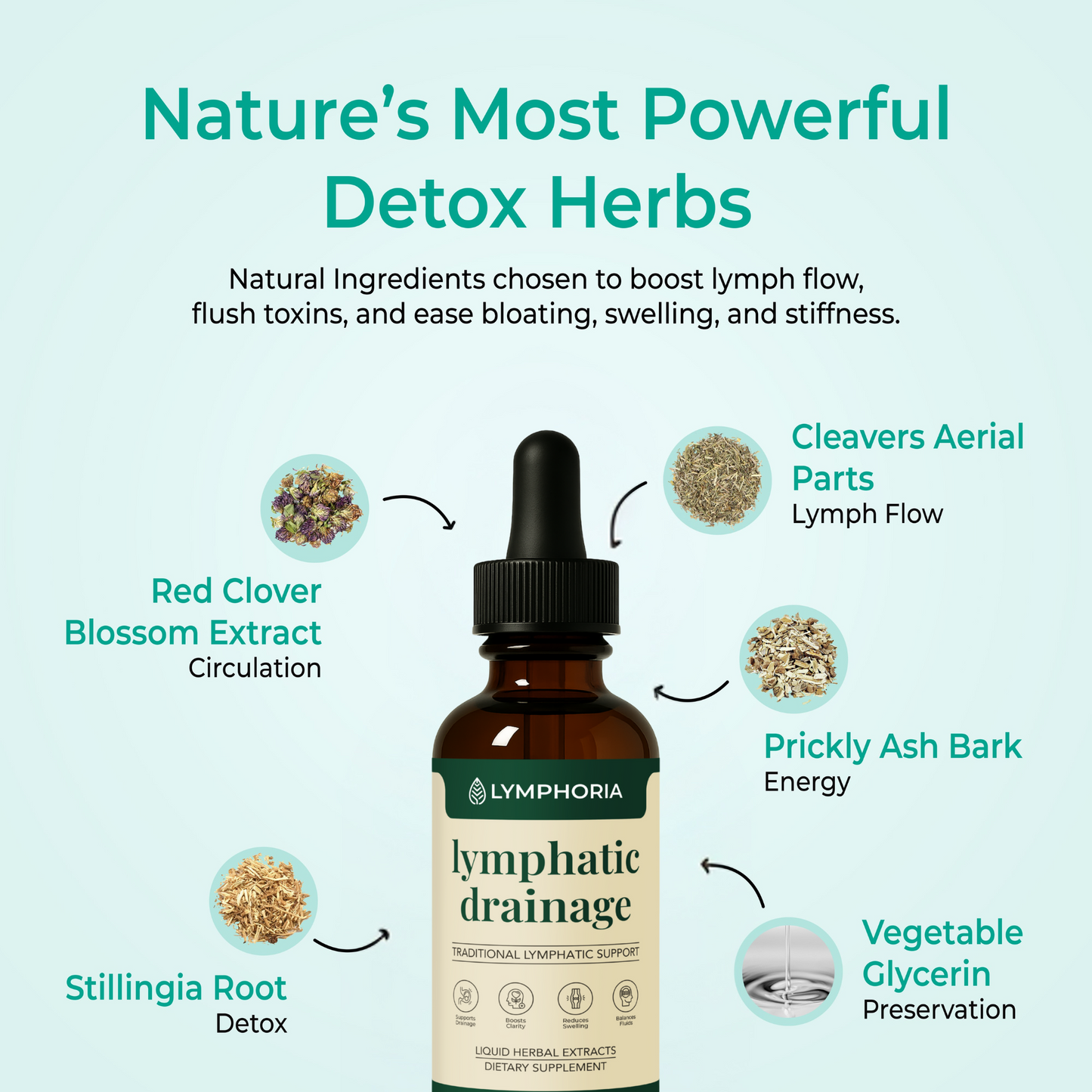 Lymphoria® Lymphatic Drainage Drops